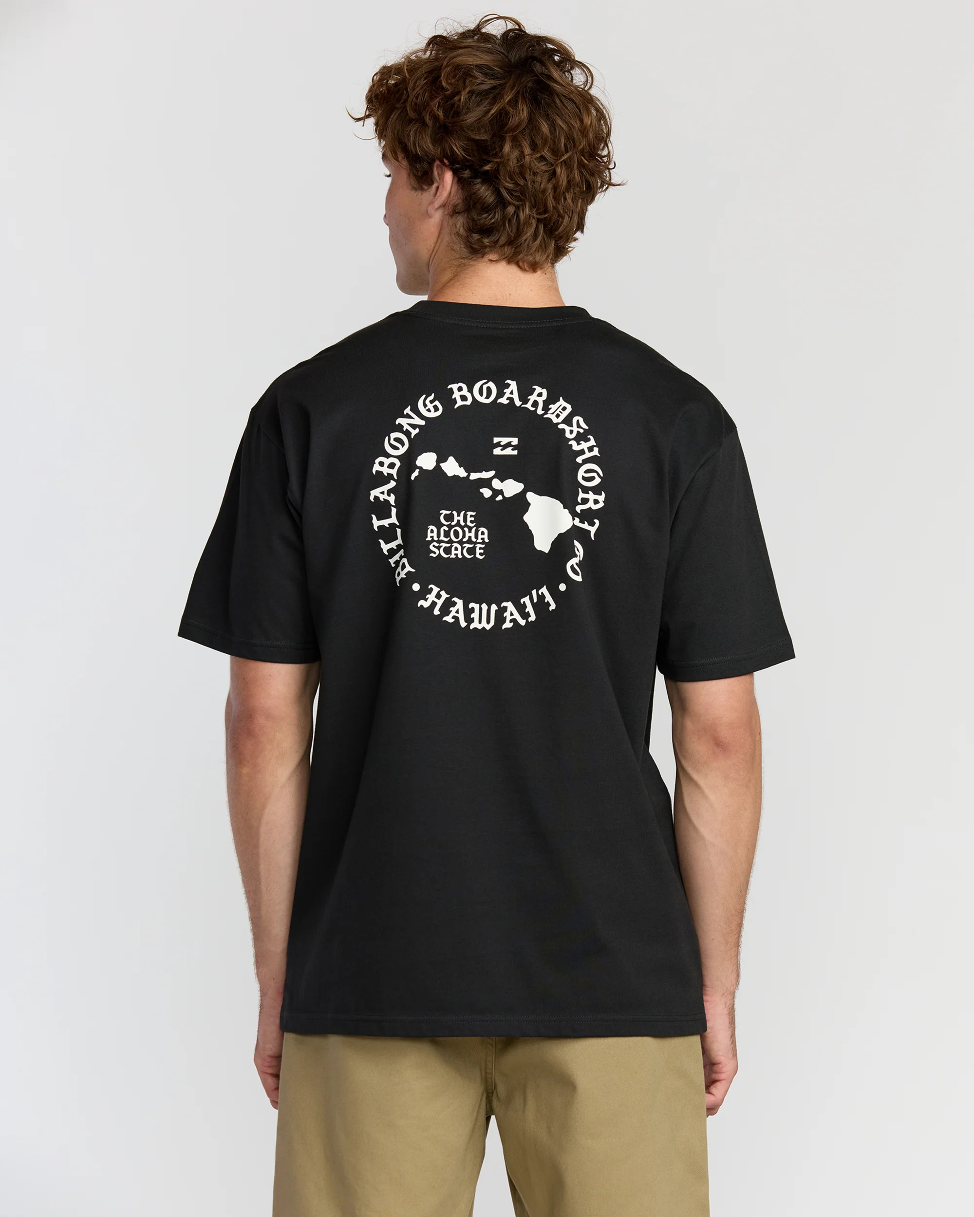Aloha Island Hi Regular Short Sleeve T-Shirt - Washed Black